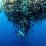 Porażka wielkiego sprzątania oceanu. Plastikowa wyspa śmieci wciąż rośnie