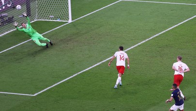 Porażka z Francją. Jak grę Polaków oceniają eksperci?