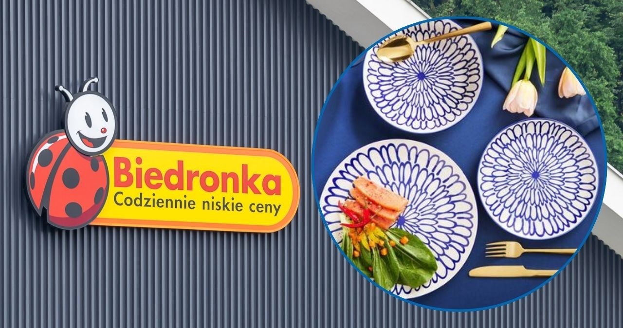 Porcelana MG Home z Biedronki podbija serca Polek. Te wzory zachwycają! /adobestock/Biedronka Home /INTERIA.PL