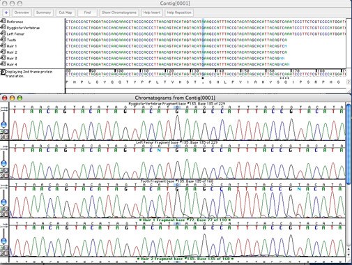 Porównanie DNA. Fot. Fundacja Kronenberga.