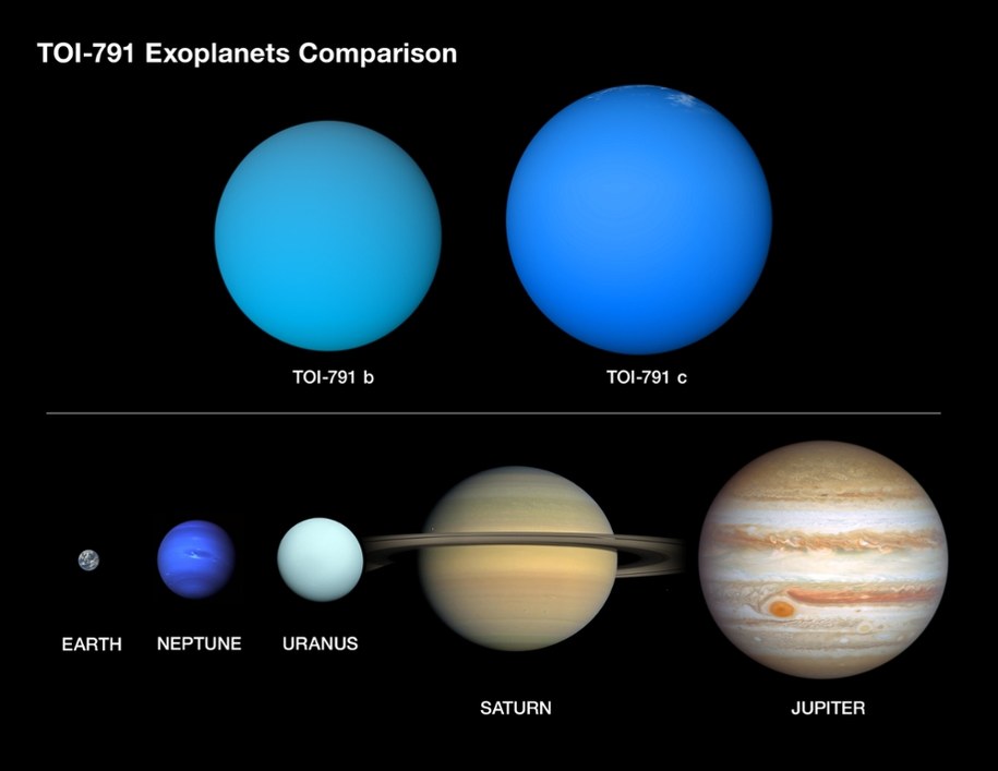 Porównanie rozmiarów planet układu TOI-791 z rozmiarami planet Ukłądu Słonecznego. /NASA/Daniel Rutter. /Materiały prasowe