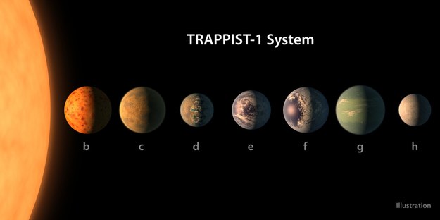 Porównanie rozmiarów planet układu TRAPPIST-1 /NASA/R. Hurt/T. Pyle /materiały prasowe