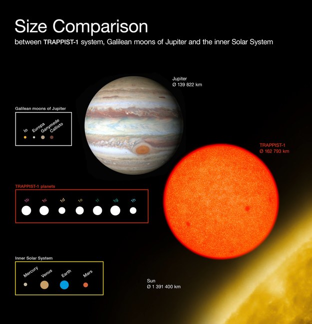 Porównanie rozmiarów planet w systemie TRAPPIST-1 z obiektami w Układzie Słonecznym /ESO/O. Furtak /materiały prasowe