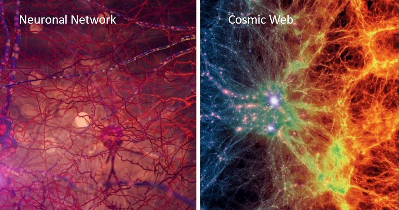 Porównanie struktury Wszechświata do sieci neuronowej w mózgu /NASA /materiały prasowe