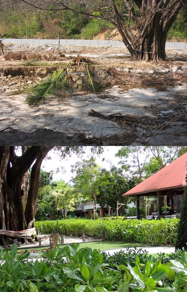 Porównanie tego samego miejsca (Tri Trang Beach na wyspie Phuket w Tajlandii) wkrótce po tsunami z 26 grudnia 2004 r. (zdjęcie na górze) i 20 lat później (zdjęcie na dole). Wiele zniszczonych przez tsunami obszarów zostało na nowo zabudowanych - tym razem są tam również zaplanowane drogi ewakuacji i systemy ostrzegania