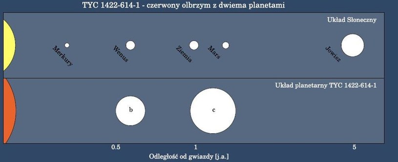 Porównanie układu TYC+1422-614-1 i naszego Układu Słonecznego. Źródło: Uniwersytet Mikołaja Kopernika /Kosmonauta