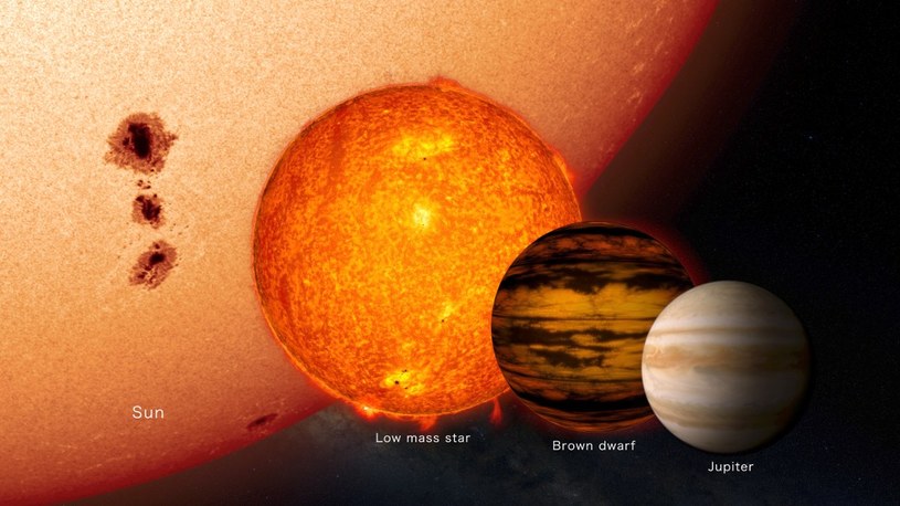 Porównanie wielkości małych gwiazd ze Słońcem oraz Jowiszem / Fot. - NASA's Goddard Space Flight Center /NASA