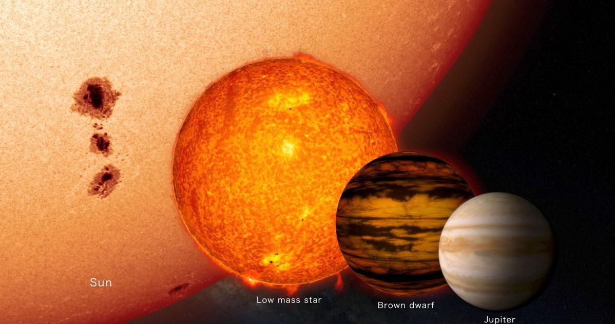 Porównanie wielkości małych gwiazd ze Słońcem oraz Jowiszem / Fot. - NASA's Goddard Space Flight Center /NASA