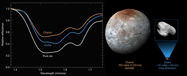 Porównanie współczynnika odbicia powierzchni Charona, Hydry i czystego lodu /NASA/JHUAPL/SWRI /materiały prasowe