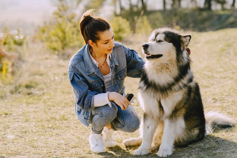 Porozumienie z właścicielem jest niezwykle ważne w budowaniu więzi /123RF/PICSEL