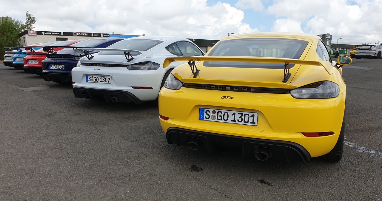 Porsche 718 Cayman GT4 /INTERIA.PL