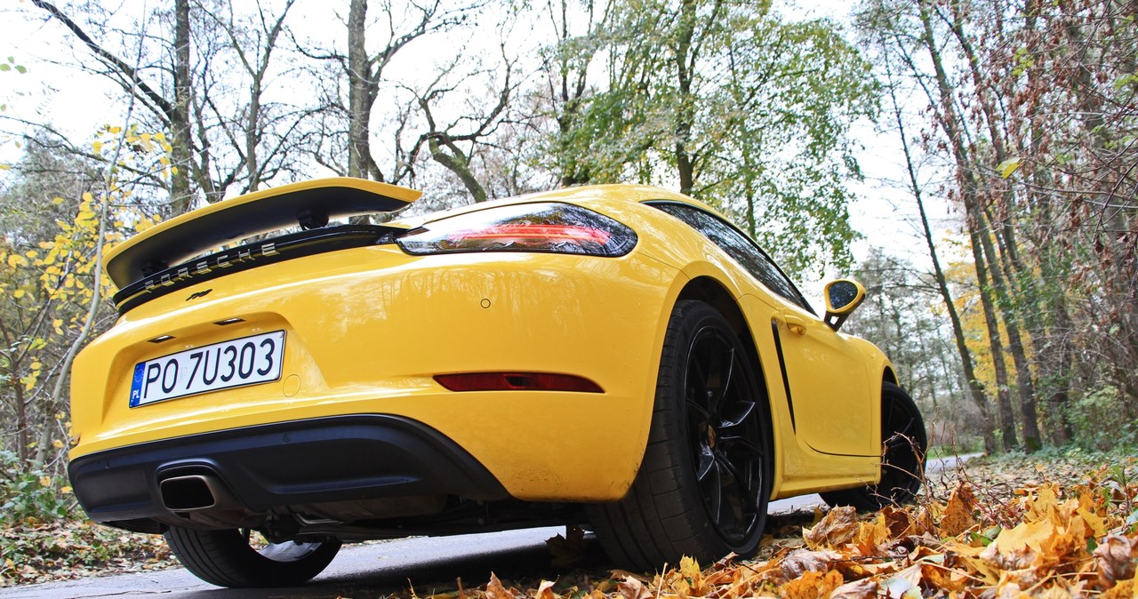 Porsche 718 Cayman /INTERIA.PL