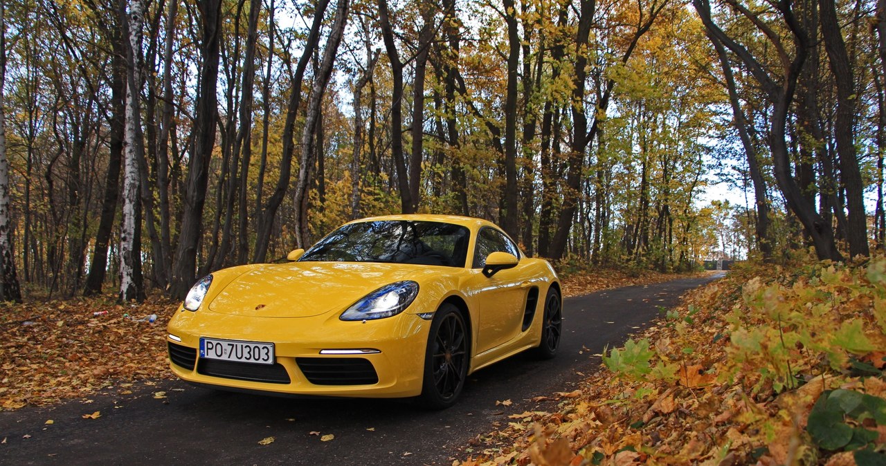 Porsche 718 Cayman /INTERIA.PL