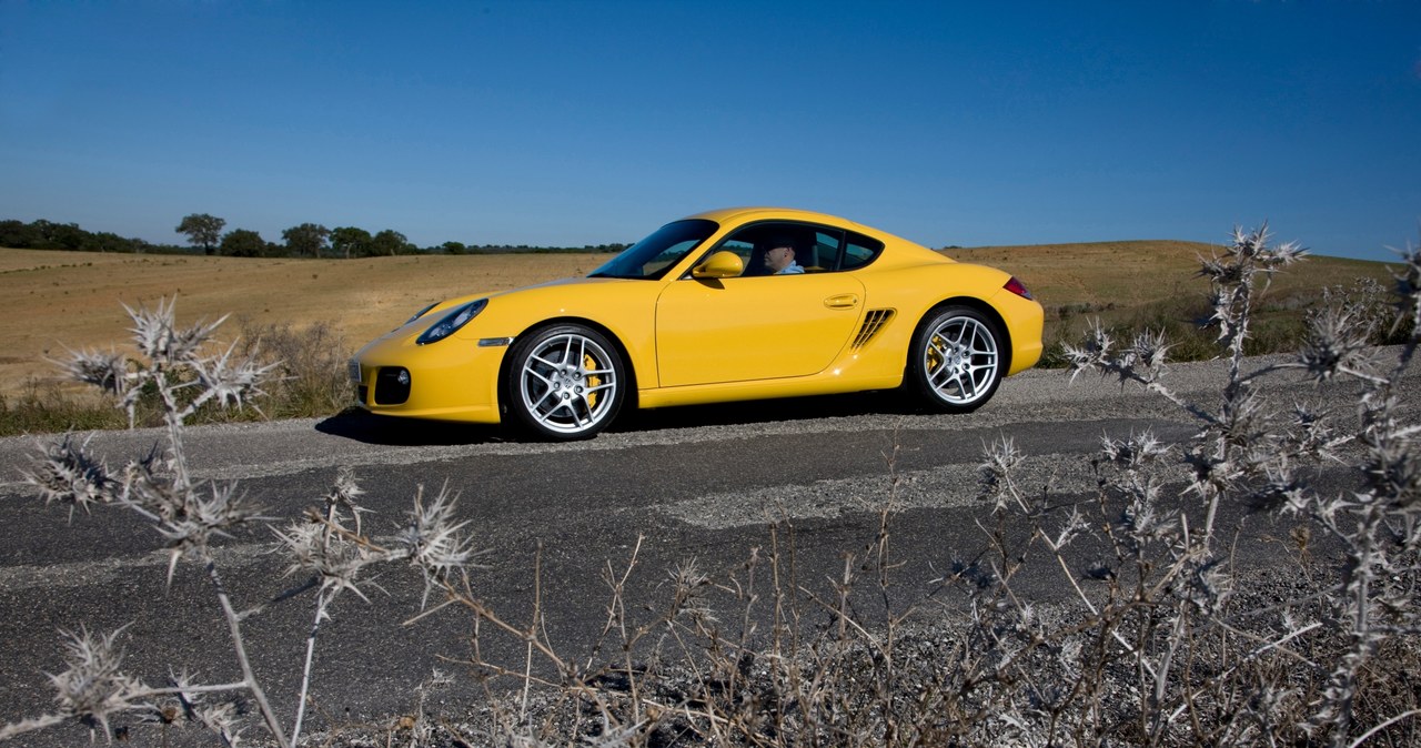 Porsche Cayman /Informacja prasowa