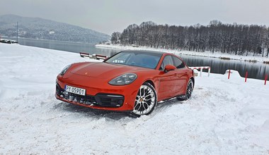 Porsche Panamera 4 E-Hybrid Platinum Edition