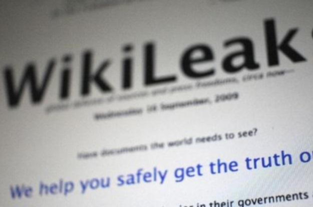 Portal WikiLeaks stał się celem ataków /materiały prasowe