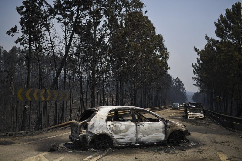 Portugalczycy liczą straty po pożarach, zdj. ilustracyjne /PATRICIA DE MELO MOREIRA / AFP /AFP