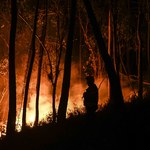 Portugalia i Hiszpania w ogniu. Płoną lasy i nieużytki rolne
