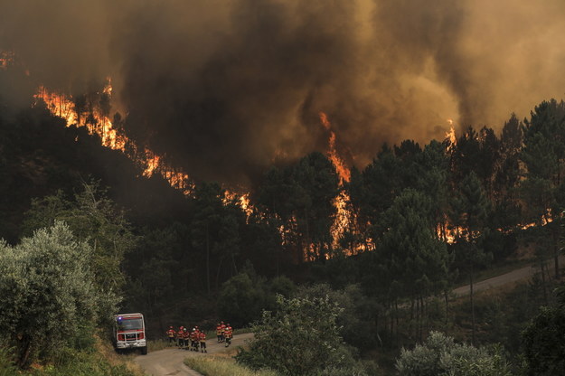 Portugalia: Ogłoszono stan alarmowy w związku z dużymi pożarami /PAULO CUNHA /PAP/EPA