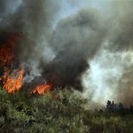 Portugalia: Pożar lasów na Maderze