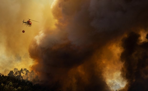 Portugalia: Pożary wymknęły się spod kontroli. Lizbona prosi o pomoc