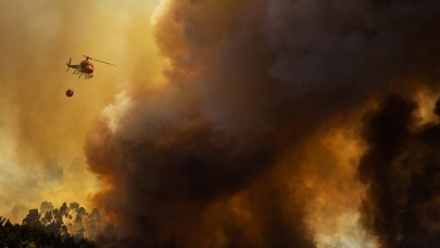 Portugalia: Pożary wymknęły się spod kontroli. Lizbona prosi o pomoc