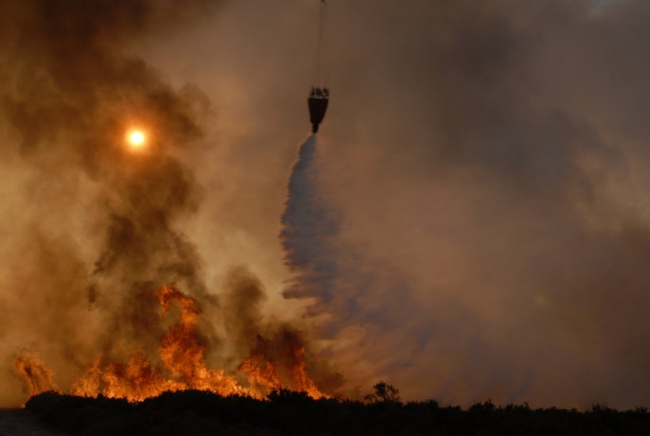 Portugalia w ogniu: Rząd ogłasza stan alarmowy z powodu pożarów i fali upałów /Shutterstock