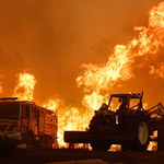 Portugalia walczy z pożarami. Jest wielu rannych
