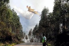 Portugalia wciąż walczy z pożarami lasów. Rośnie liczba ofiar