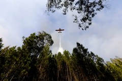Portugalia wciąż walczy z pożarami lasów. Rośnie liczba ofiar