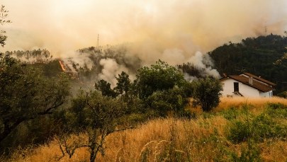 Portugalia wciąż walczy z pożarami lasów. Rośnie liczba ofiar
