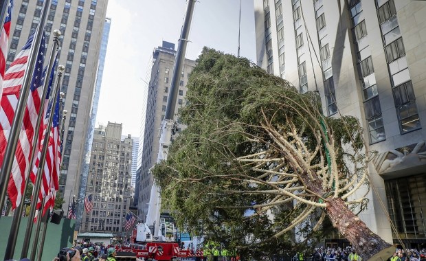 Poruszająca historia choinki w Rockefeller Center. "Nie mogłam uwierzyć, że to się dzieje"