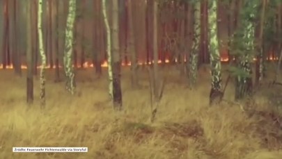 Porzucona amunicja Wehrmachtu przyczyniła się do pożarów w Niemczech? Nowa teoria