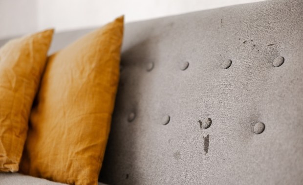 Porzucona sofa, która przyciąga tłumy. Jak stała się atrakcją turystyczną?