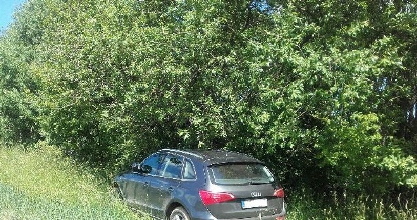 Porzucone przy drodze skradzione audi /Policja