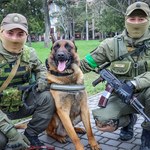 Porzucony pies armii rosyjskiej został przygarnięty przez ukraińskich żołnierzy
