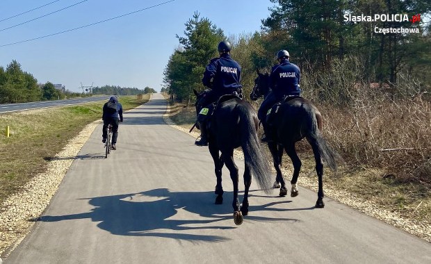 Pościg ulicami Częstochowy. Funkcjonariusze jechali… konno