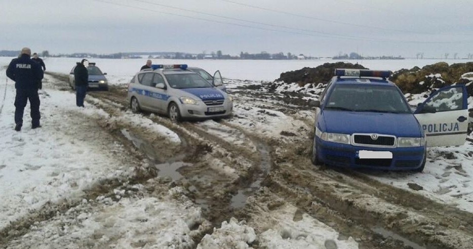 Pościg zakończył się na polnych drogach /Policja