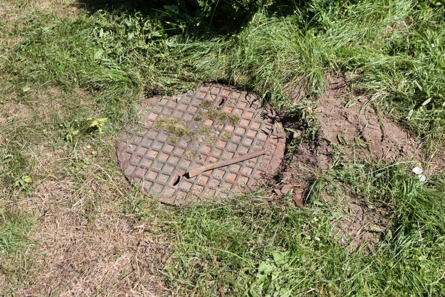 Posesja przy ulicy Szczecińskiej w Gorzowie Wielkopolskim /Lech Muszyński /PAP