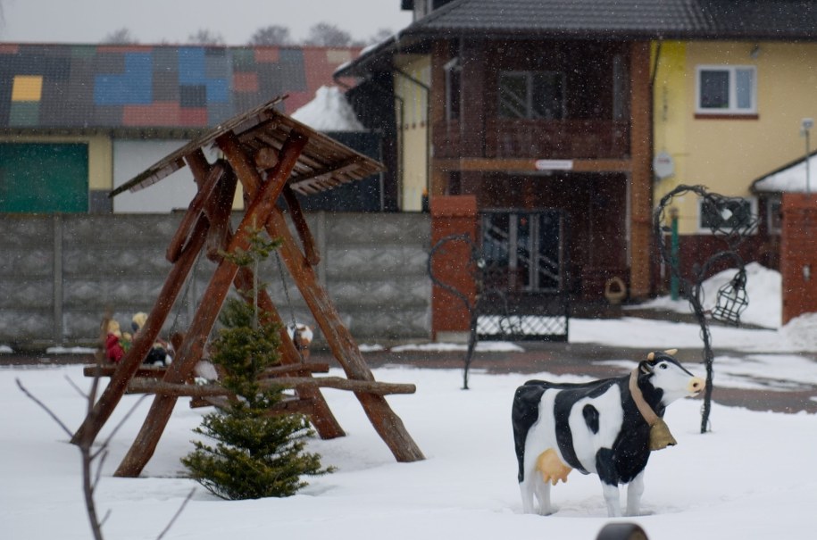 Posesja w miejscowości Rosławowice k. Białej Rawskiej /Grzegorz Michałowski /PAP