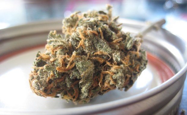 Posiadanie narkotyków na własny użytek bezkarne? Zgadnij, w którym kraju 