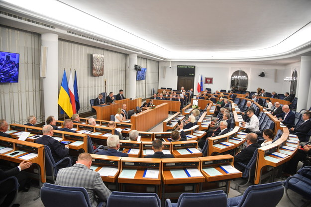 Posiedzenie Senatu /Radek Pietruszka /PAP