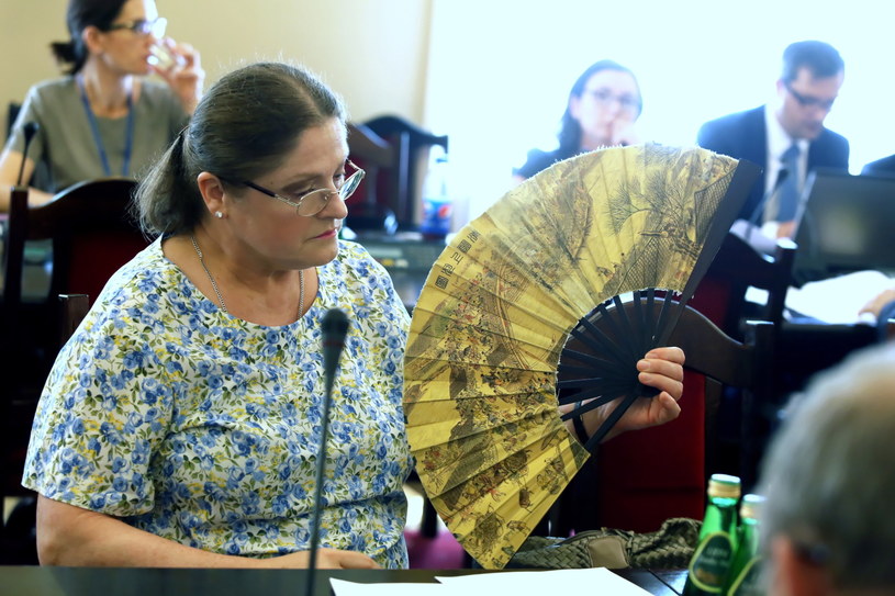 Posłanka PiS Krystyna Pawłowicz, podczas posiedzenia sejmowej Komisji Sprawiedliwości i Praw Człowieka /Tomasz Gzell /PAP