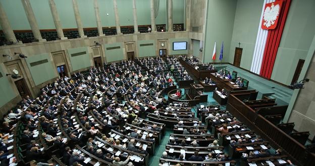 Posłom nieśpieszno do zmiany przepisów /PAP