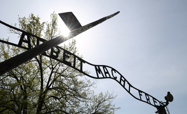 Posłowie od Brauna niewpuszczeni do Auschwitz-Birkenau. Policja ujawnia powód