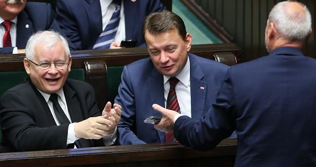 Posłowie PiS: Jarosław Kaczyński (L), Mariusz Błaszczak (C) i Antoni Macierewicz (P) /PAP