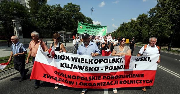 Posłowie w piątek zadecydują w sprawie uboju rytualnego /PAP