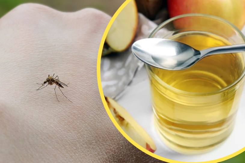 Posmaruj skórę, wypij lub postaw na parapecie. Ocet jabłkowy to naturalna tarcza na komary /123RF/PICSEL