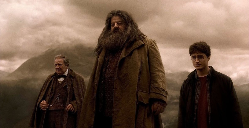 Postać Hagrida (środek) z filmu "Harry Potter i Książę Półkrwi" /Everett Collection / Everett Collection /East News