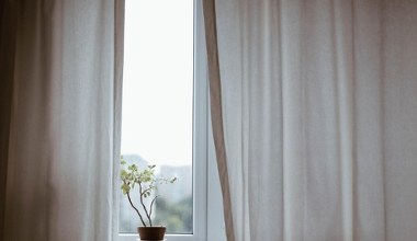 Поставте на підвіконня ввечері. До ранку позбудетеся надокучливої ​​вологи